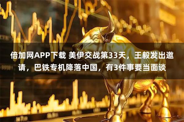 倍加网APP下载 美伊交战第33天，王毅发出邀请，巴铁专机降落中国，有3件事要当面谈