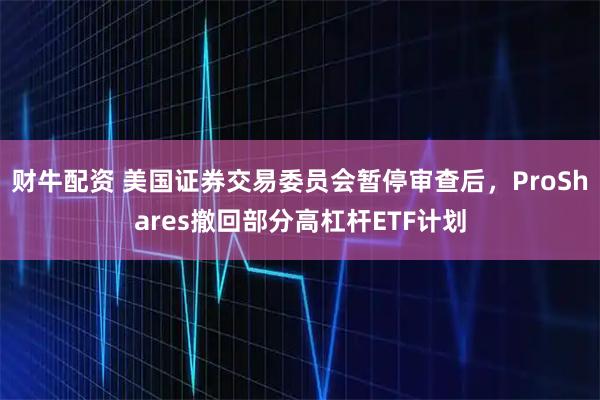 财牛配资 美国证券交易委员会暂停审查后，ProShares撤回部分高杠杆ETF计划